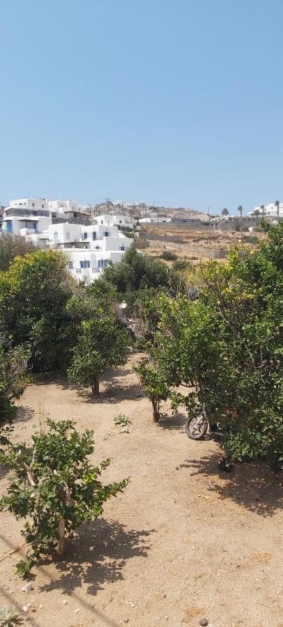 Demis Mykonos Stay 2 Platys Gialos (Mykonos) Exterior foto